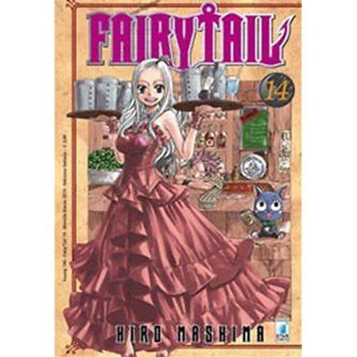 FAIRY TAIL 14