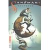 SANDMAN UNIVERSE 02