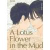 A LOTUS FLOWER IN THE MUD