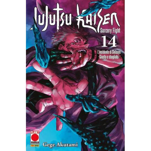 JUJUTSU KAISEN SORCERY FIGHT 14