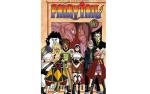 FAIRY TAIL 26