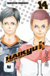 HAIKYU!! 14 