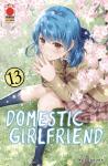 DOMESTIC GIRLFRIEND 13