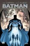 BATMAN : COS'E' SUCCESSO AL CAVALIERE OSCURO? - PANINI DC