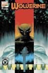 WOLVERINE 426 - 22