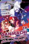 DANMACHI LIGHT NOVEL 14