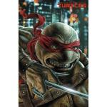 TEENAGE MUTANT NINJA 1 AARON VARIANT
