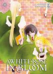 WHITE ROSE IN BLOOM (A) 3