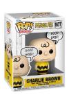 PEANUTS CHARLIE BROWN GOOD GRIEF FUNKO POP 1677