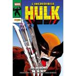 L'INCREDIBILE HULK DI PETER DAVID 1
