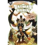 BATMAN E ROBIN 13