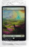 MTG Basic Land 2024 STANDARD SHOWDOWN FOIL FULL ART - SEALED