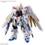 HG GUNDAM MIGHTY STRIKE FREEDOM 1/1