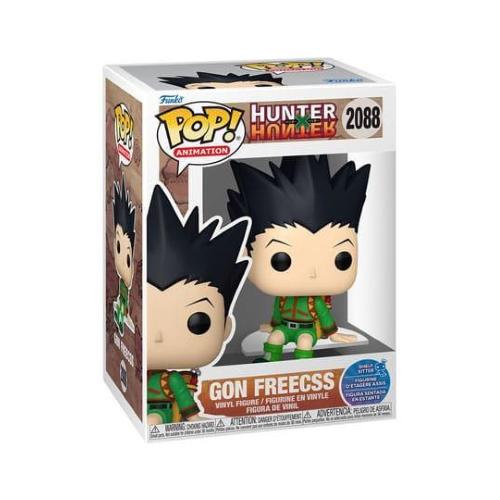 HUNTER X HUNTER GON FREECSS (SIT) P