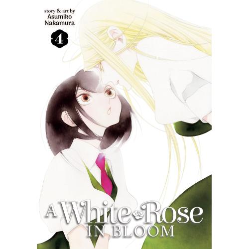 A WHITE ROSE IN BLOOM 4