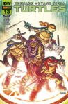 TEENAGE MUTANT NINJA 13 AARON